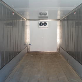 20 Ft STD New Refrigerated Container